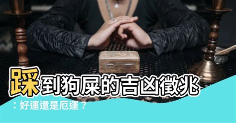 踩狗屎|左腳踩到狗屎是好運，右腳則會倒霉？ 